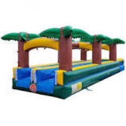 Dual Lane Palm Tree Slip n Slide