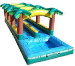 C800C52D 9373 4C04 9653 E2EEDF338EFD 1676824392 Dual Lane Palm Tree Slip n Slide