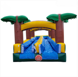 59B70425 8DF1 401B 8365 8DCBAA526B57 1746587259 Palm Tree Slip n Slide Dual Lane